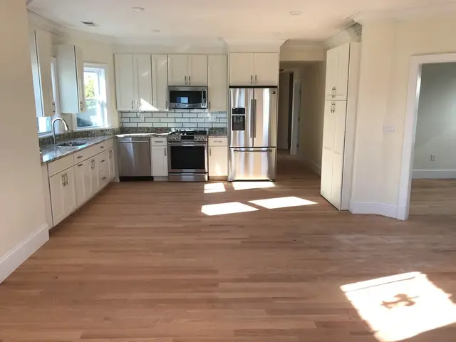 65 Newton #1
