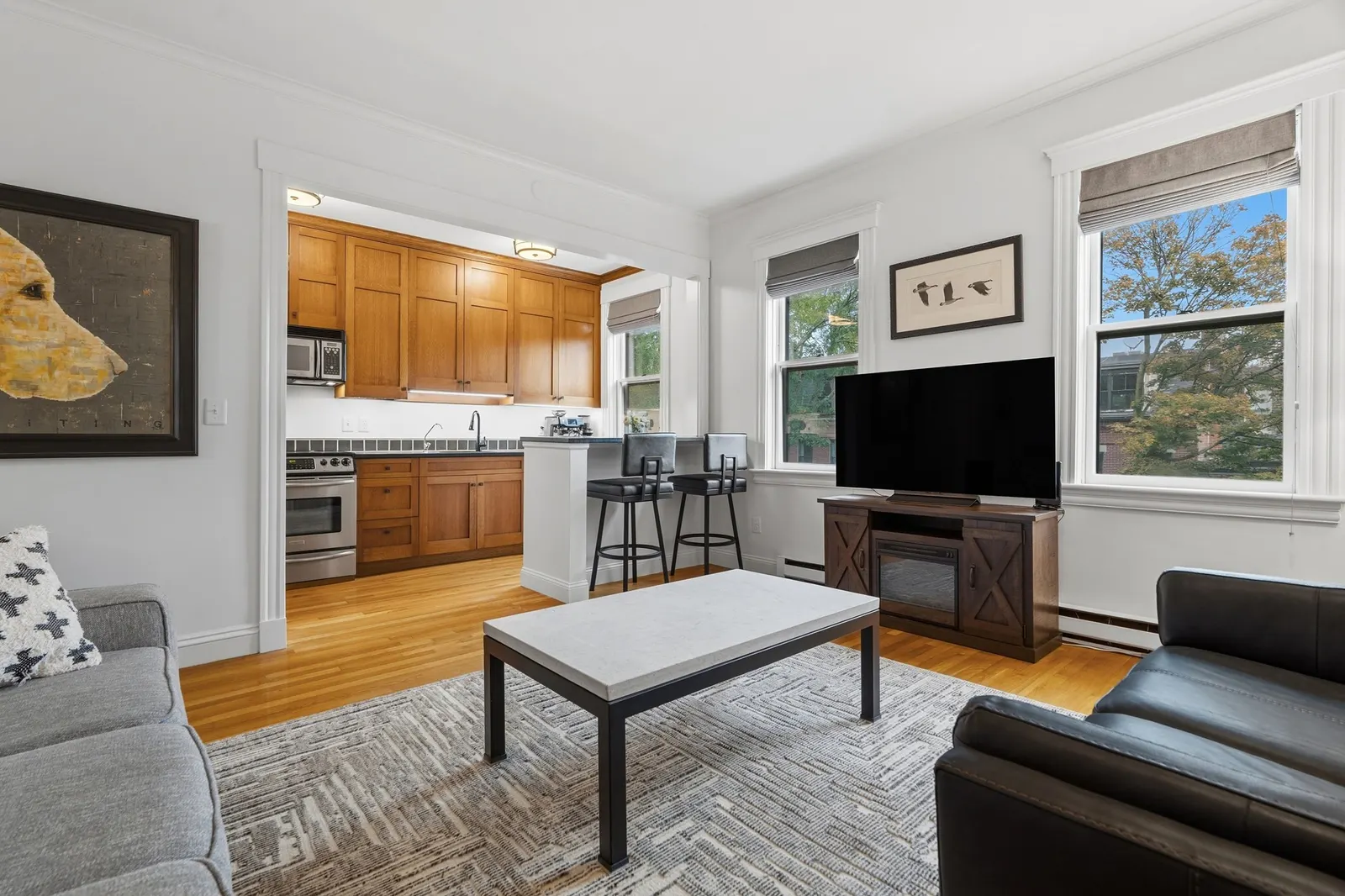 202 W Springfield St #5, Boston