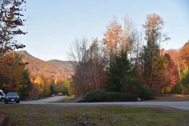 16 Yellow Birch Cir