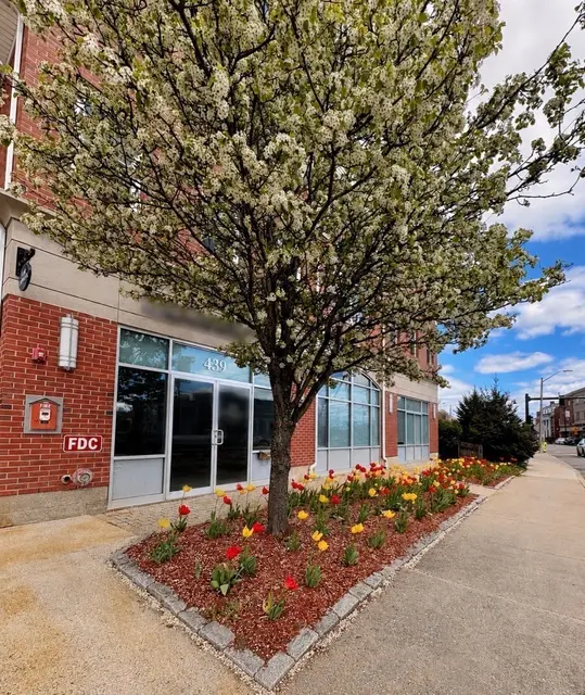 441 Washington St #203