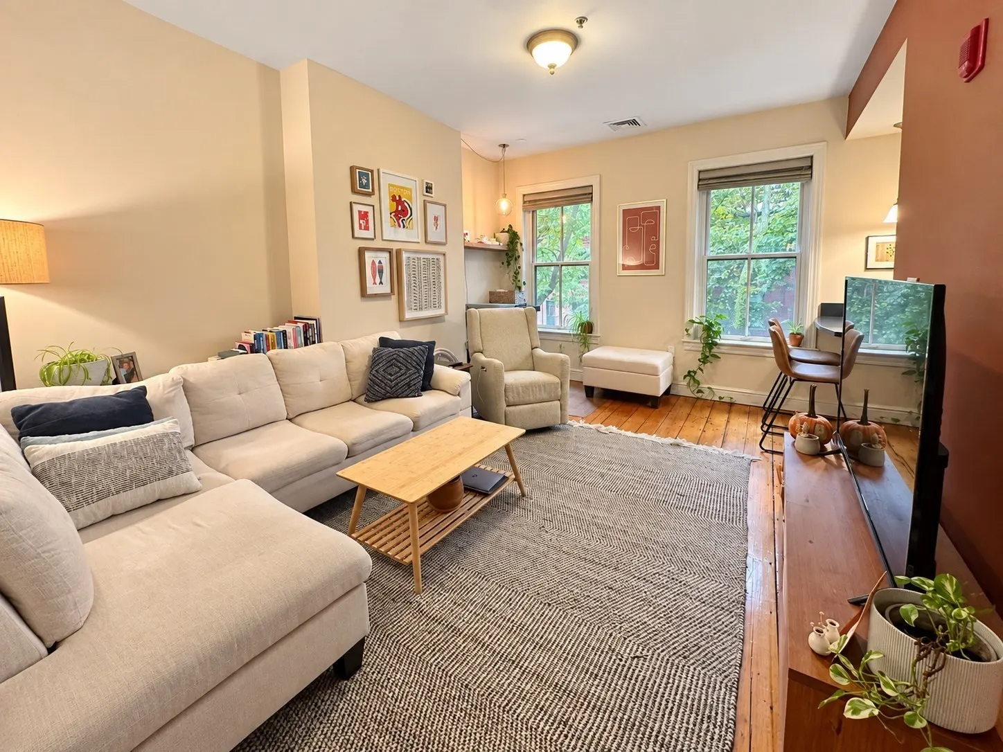 48 East Springfield Street #3, Boston