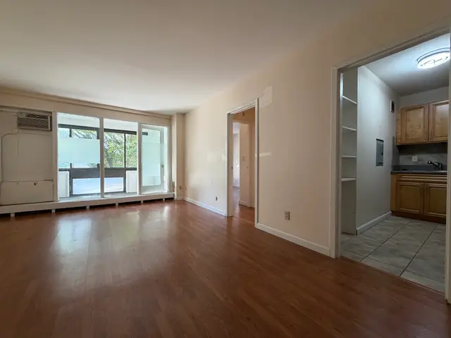 28 Juniper #78