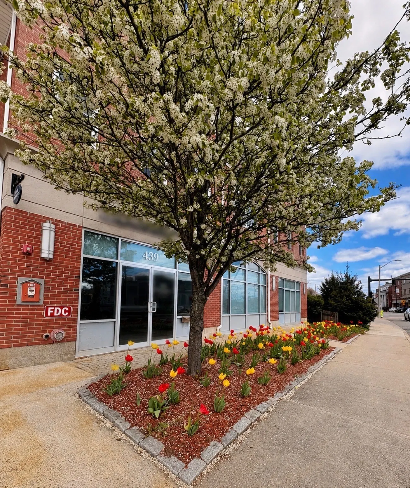 441 Washington St #203, Dedham