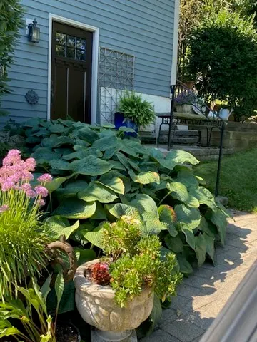 196 Dale St. #1, Waltham