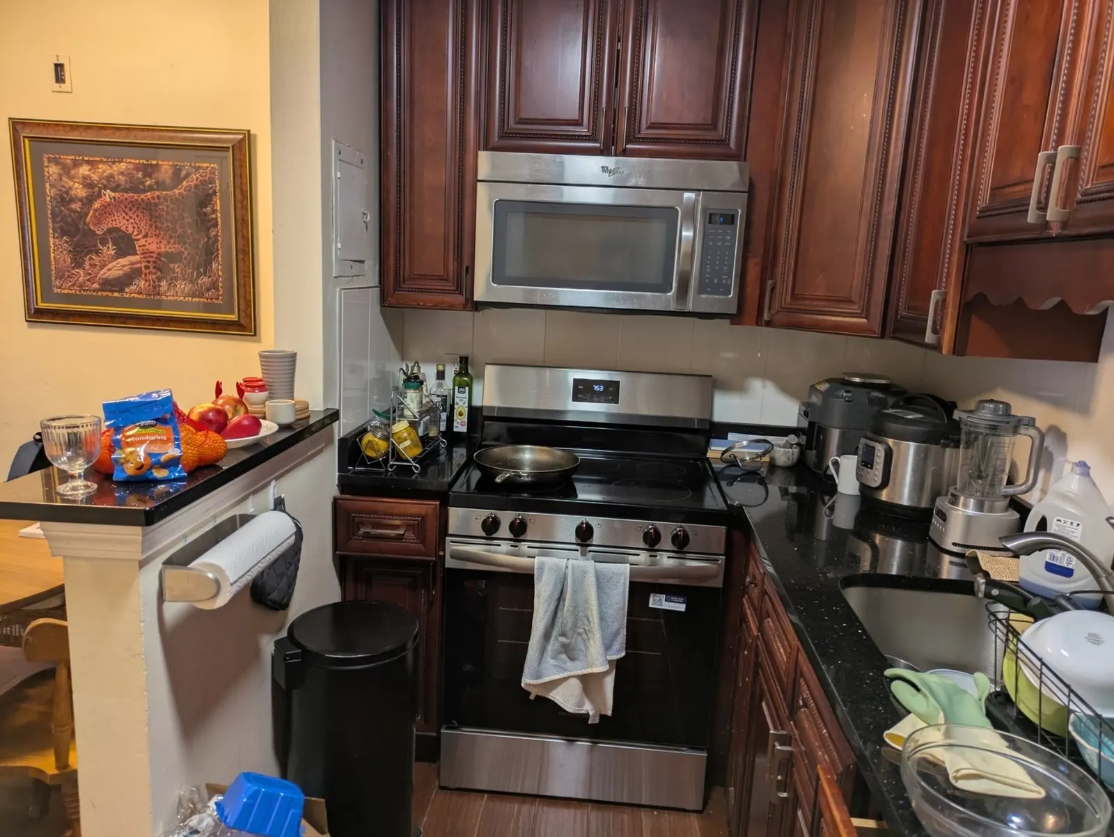 2 Larose Place #16, Boston