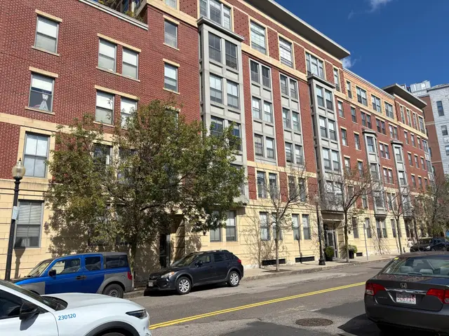 519 Harrison Ave #D219