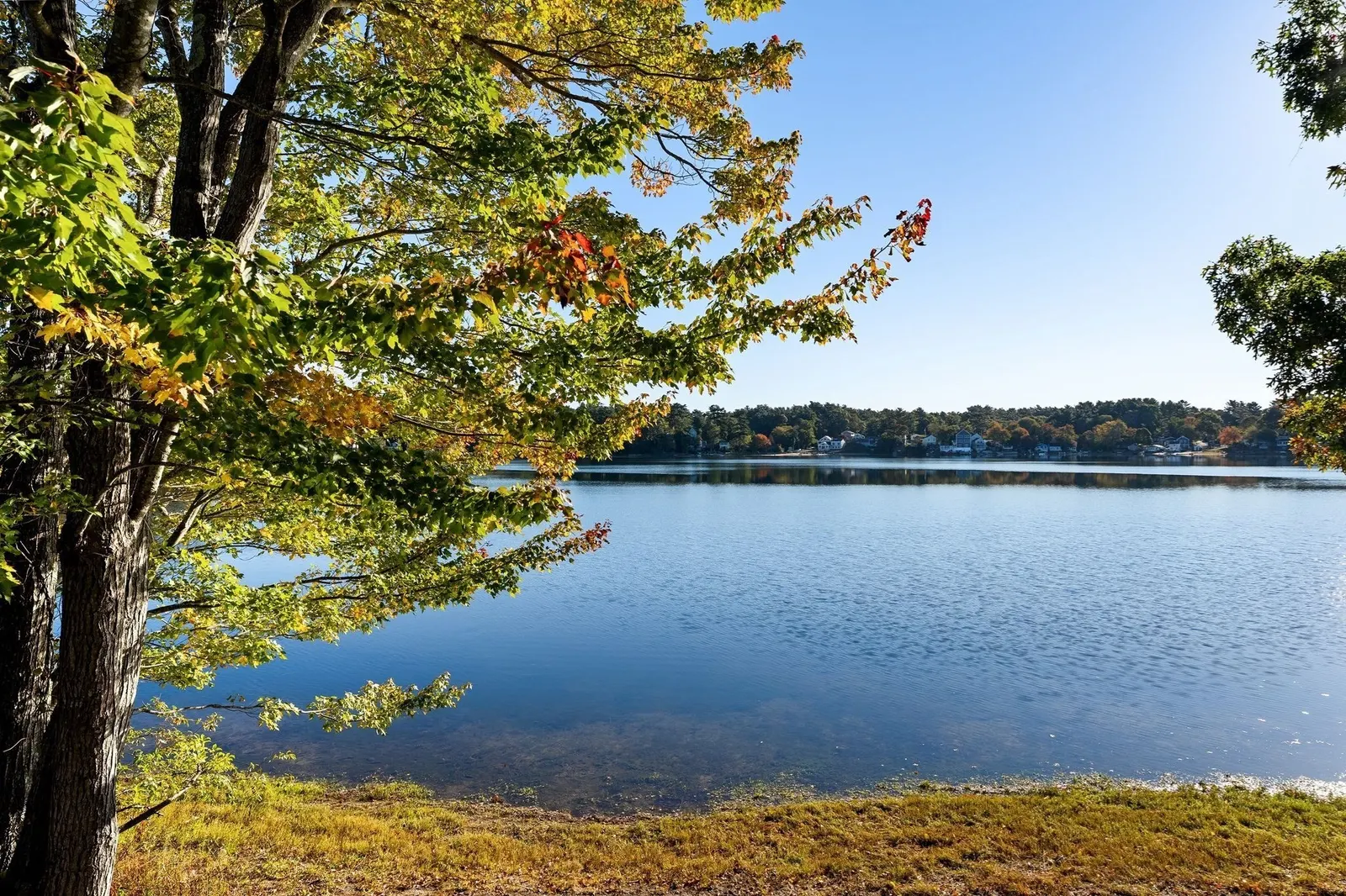 50 Alvern Rd, Pembroke