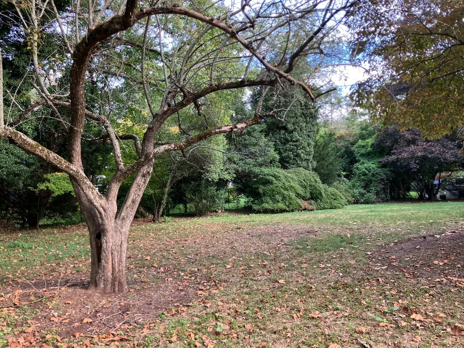 0 Glenoe Rd, Brookline