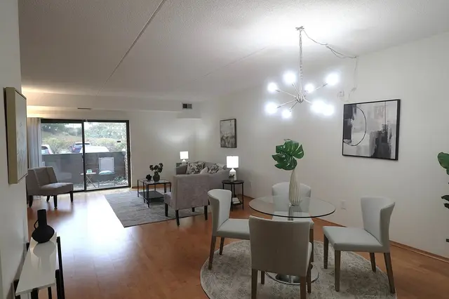 289 Elm Street #15A