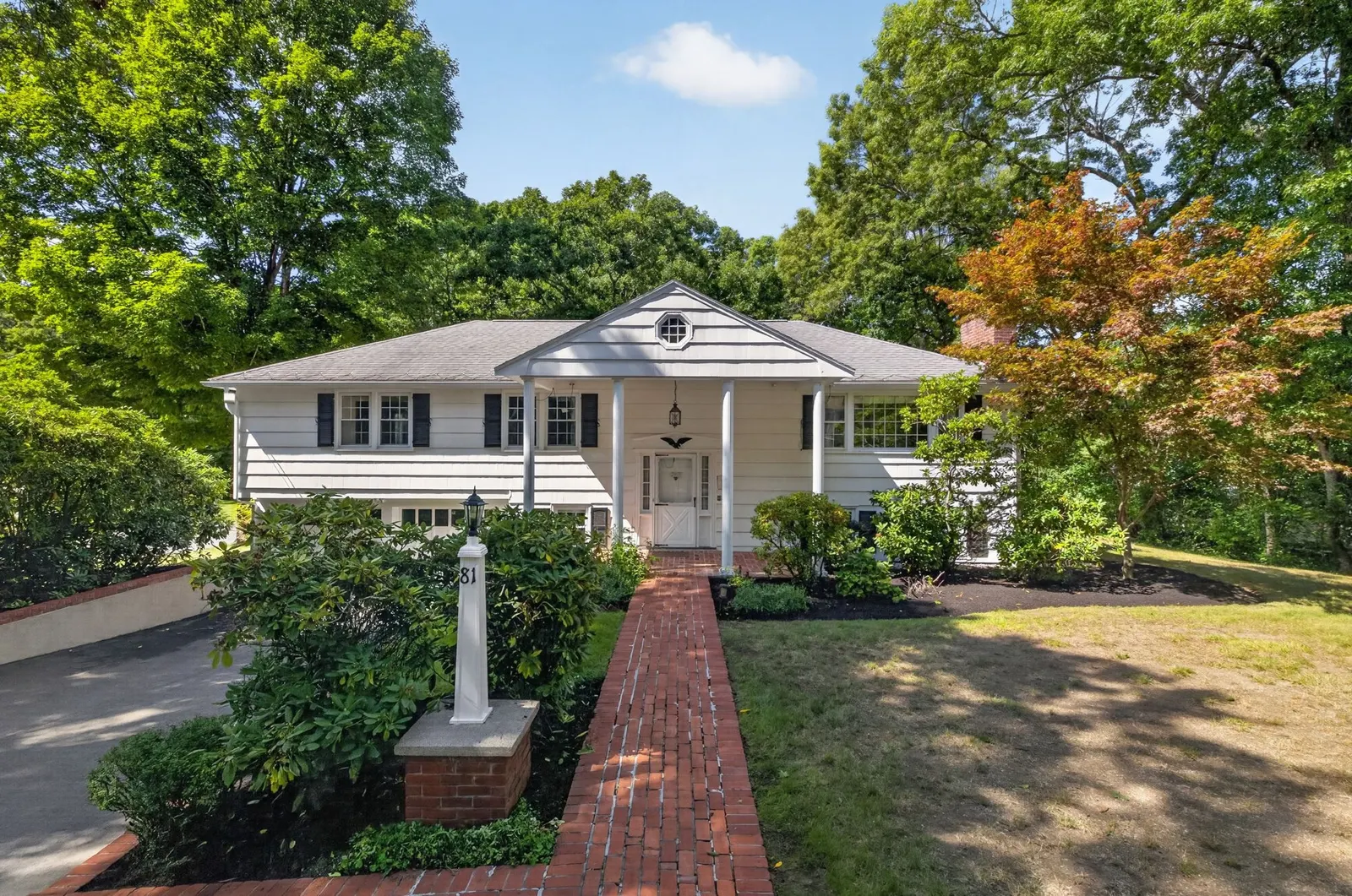 81 Alder Rd, Westwood