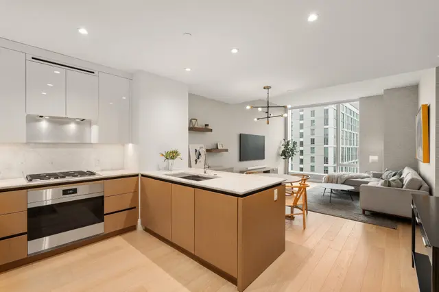 380 Harrison Ave #Penthouse2M