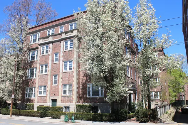31 Concord Ave #11