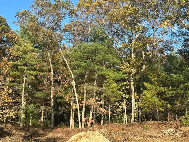130 Fall