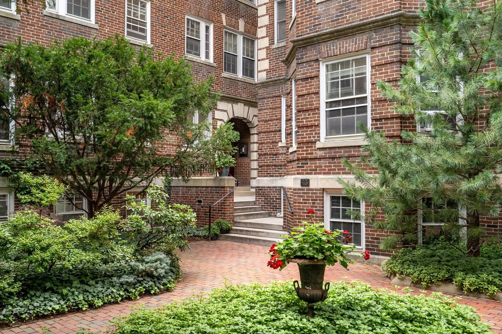 43 Linnaean #24, Cambridge