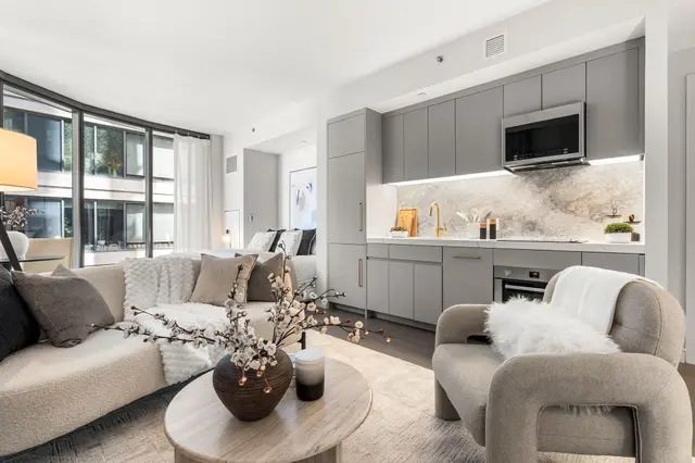 55 Lagrange St #1201