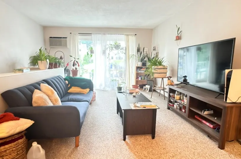 73 Charlesbank Rd #201, Newton
