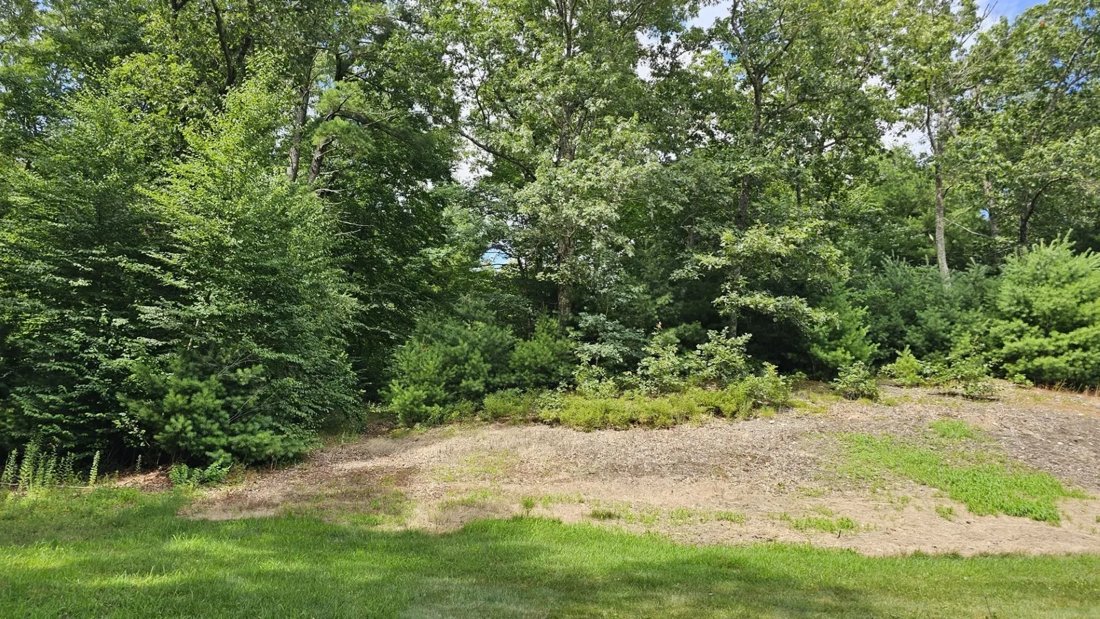 0 Mcgill Ln, Milford