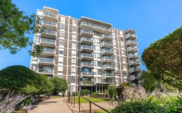 60 Babcock St #53